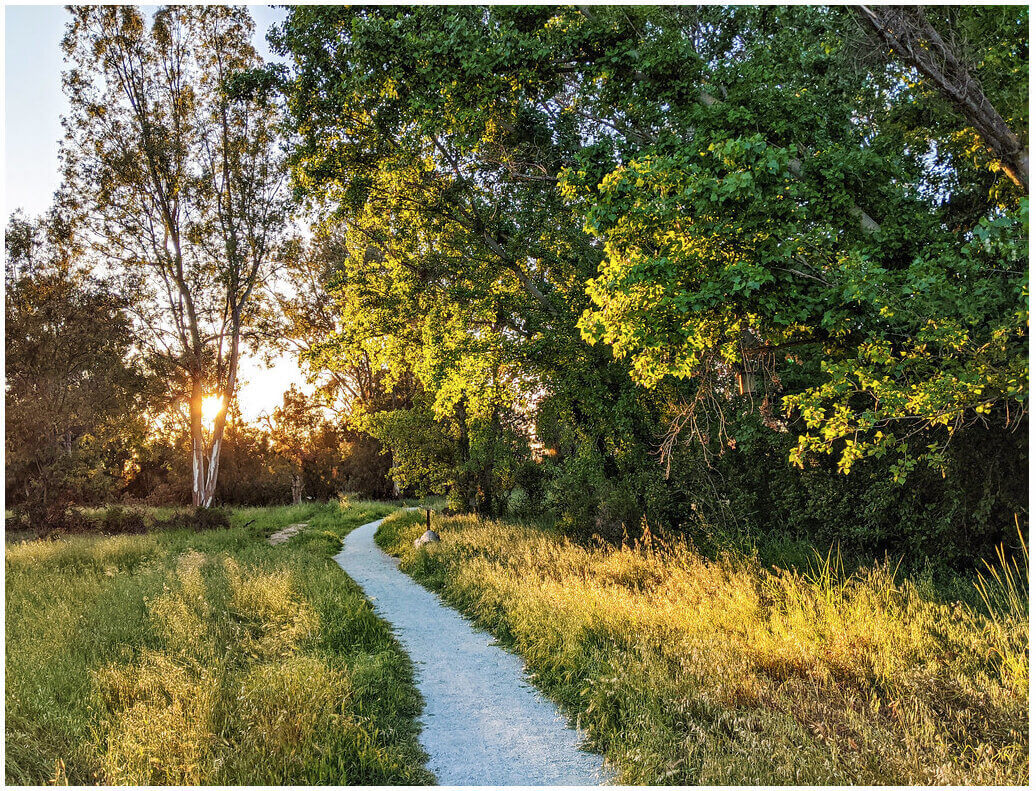 Ulistac Natural Area