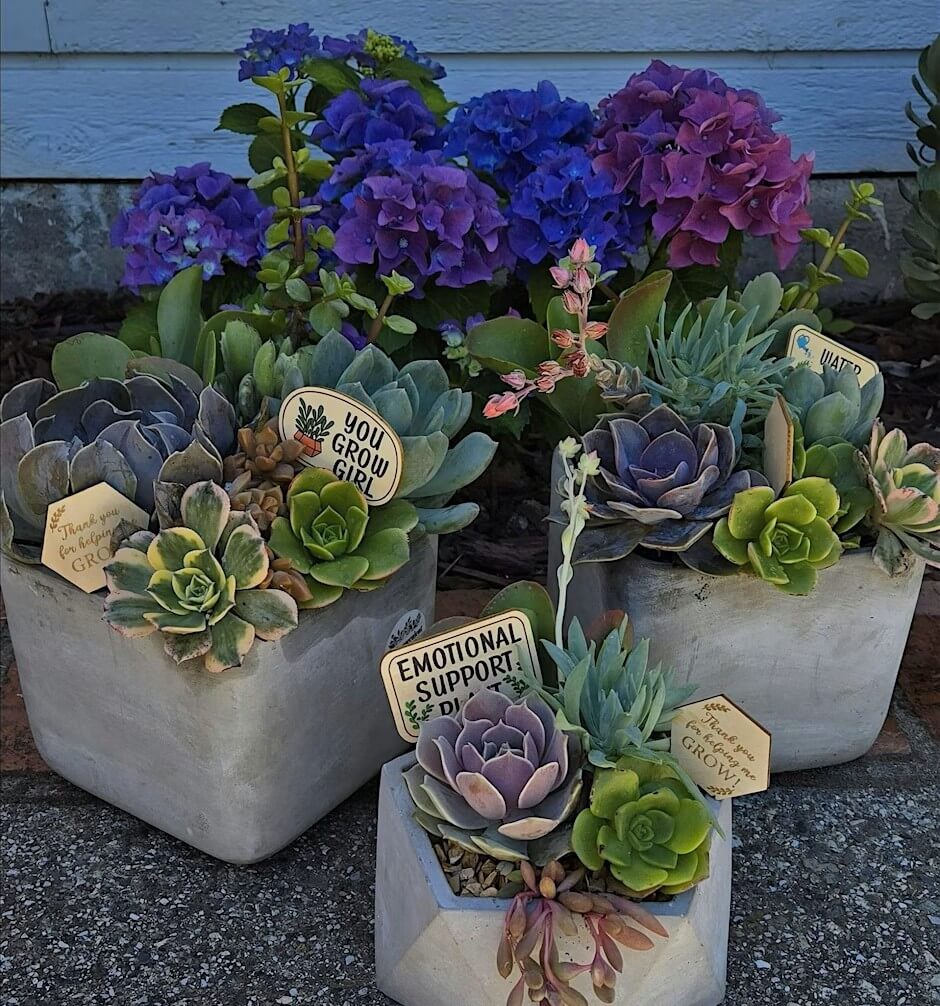 Hands-On with Villa Succulents: Mommy and Me Succulent Arrangments Hands-On with Villa Succulents: Mommy and Me Succulent Arrangments