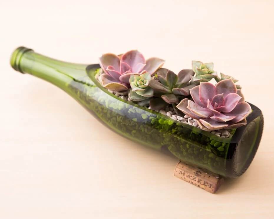 Hands-On Wine & Crafts: Bottled Blooms with Villa Succulent