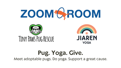 Dog Yoga with Tiny Paws Pug Rescue at Zoom Room Santa Clara