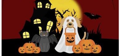 Doom Room Halloween Party – hosted by Zoom Room Santa Clara