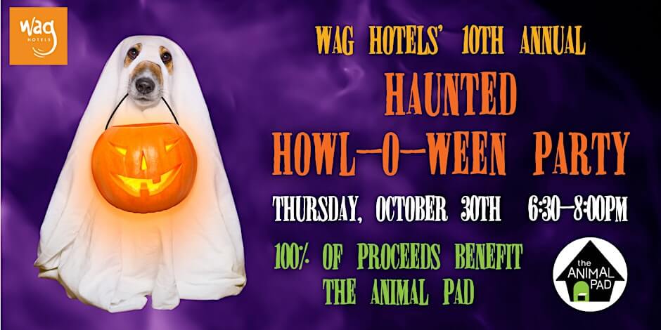 Haunted Howl-o-ween Party for Dogs at Wag Hotels Santa Clara Haunted Howl-o-ween Party for Dogs at Wag Hotels Santa Clara