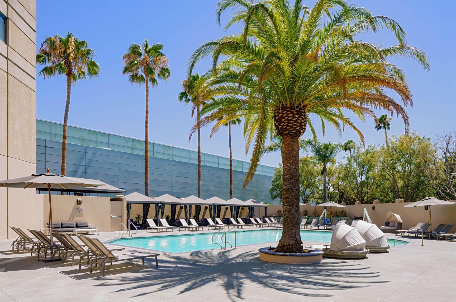 Where to Watch the Super Bowl in Santa Clara in 2026