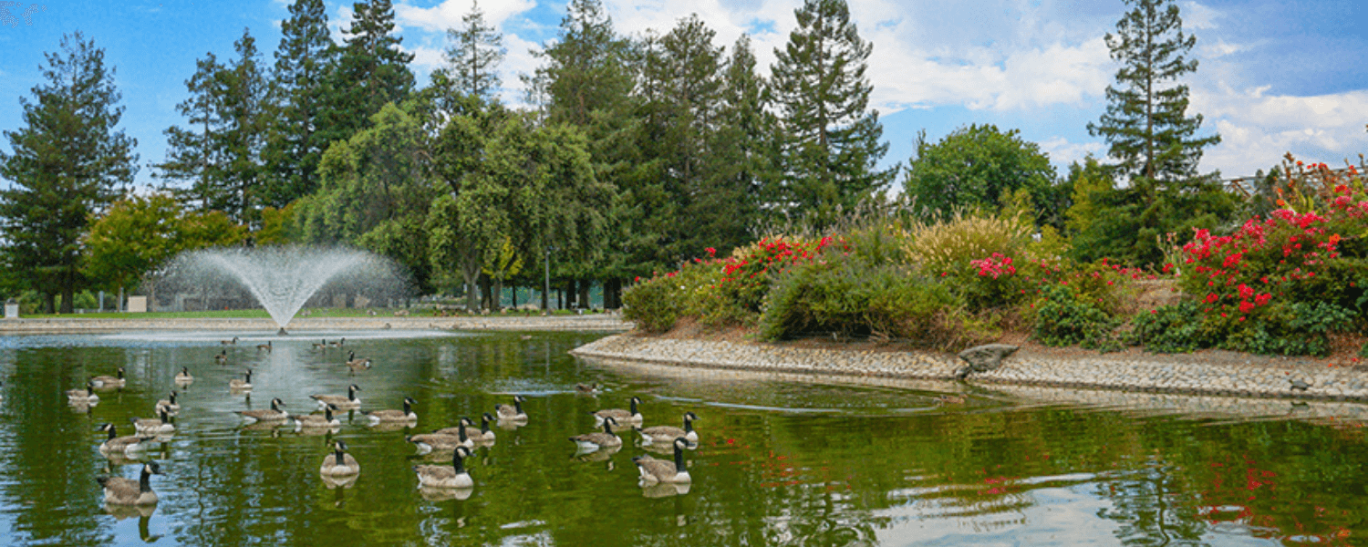 Free Things To Do In Santa Clara