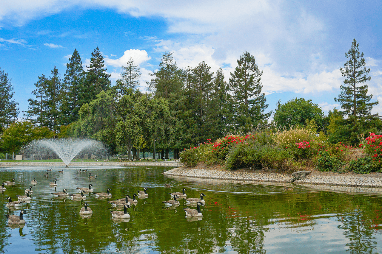 Free Things To Do In Santa Clara