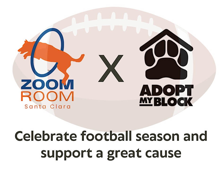 Tailgates & Touchdowns Pawty @ Zoom Room Santa Clara